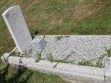 image of grave number 518578